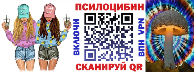 Псилоцибиновые грибы GOLDEN TEACHER  продажа наркотиков  Нарьян-Мар 